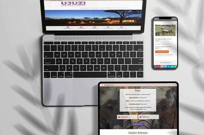 website development
